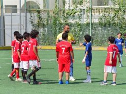 MIS Sports